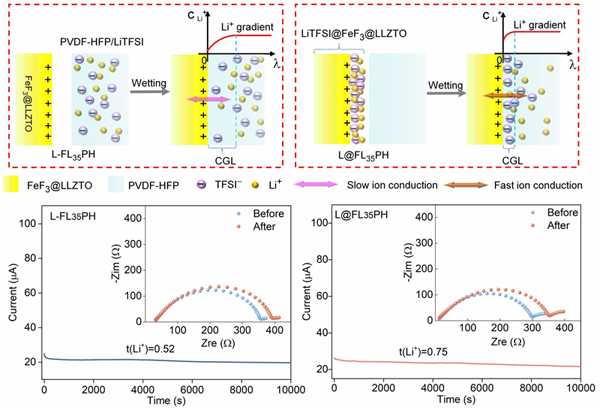 构建阴离子捕获界面促进固体电解质内锂离子跨相传输