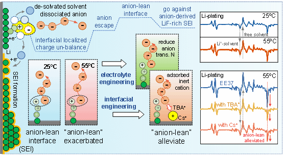 在高温锂金属电池界面动态演化及调控研究中取得重要进展